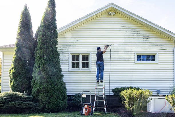 Pre-Holiday Cleaning in Refugio, TX
